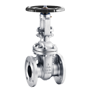 Stainless steel American standard gate valve